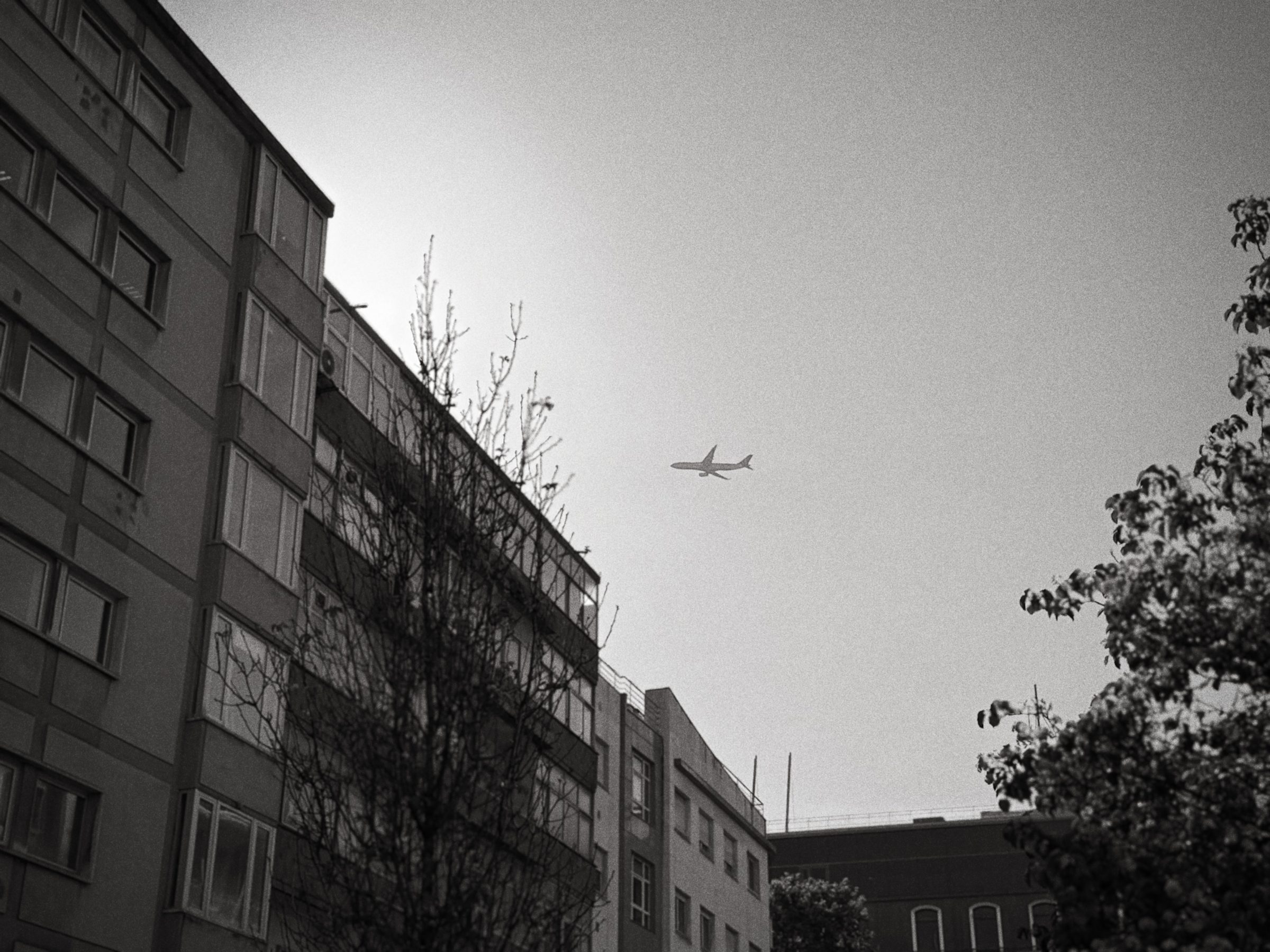 IMG E4390